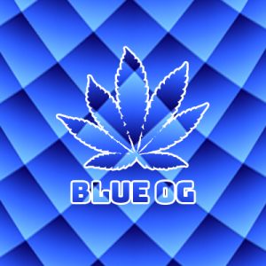 Blue OG Photo Fem-2989