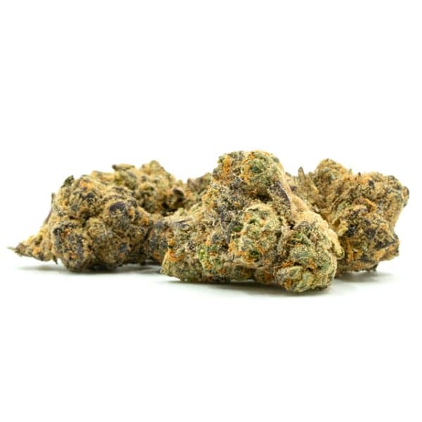 Blueberry Auto Fem