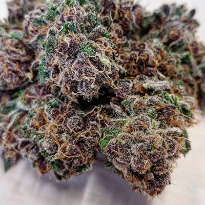 Blueberry Kush Photo Fem-4087