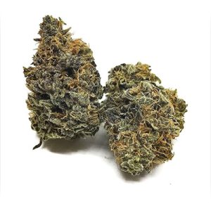 Blueberry Kush Photo Fem-4086