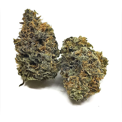 Blueberry Kush Photo Fem-4086