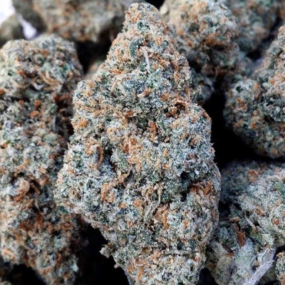 Blueberry Kush Photo Reg-2673