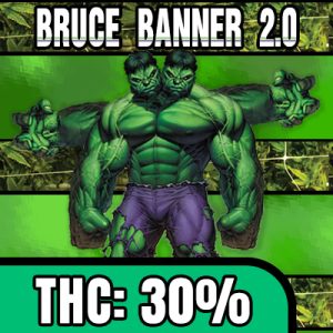 Bruce Banner 2.0 Photo Fem-4179
