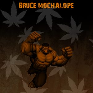 Bruce Mocholope Photo Fem-4047