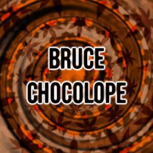 Bruce Chocolope Photo Fem-4034