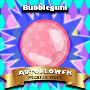 Bubblegum Auto Fem-4302