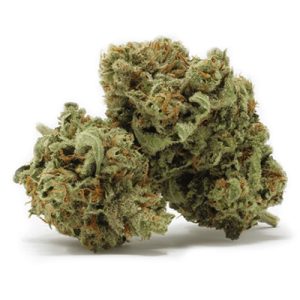 Bubblegum Haze Photo Fem-4003