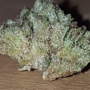 Humboldt Photo Fem-0