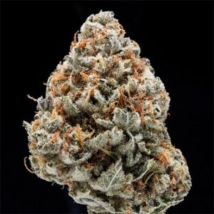 Strawberry Banana Photo Fem-3105