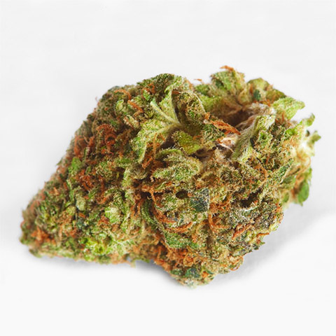 Strawberry Cough Photo Fem-3927