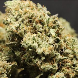 Strawberry Kush Photo Fem-3276