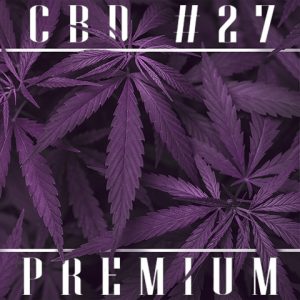 CBD 27 Photo Fem-4174
