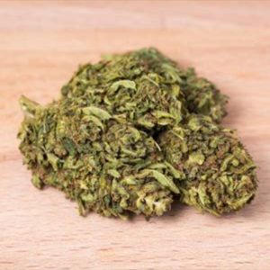 CBD 27 Photo Fem-4172