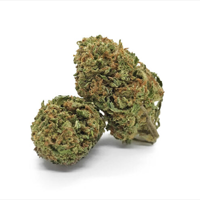 CBD Amnesia Fast Photo Fem-1761