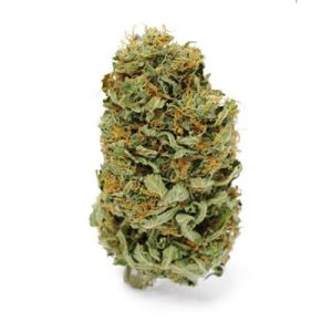 CBD Amnesia Photo Fem-0