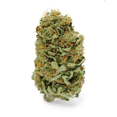 CBD Amnesia Photo Fem-0