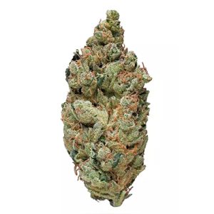 CBD Black Diesel Photo Fem-2957