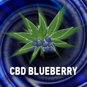 CBD Blueberry Photo Fem-1677