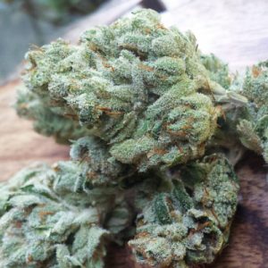 CBD Chemdog 4 Photo Fem-3920