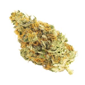 CBD Chemdog 4 Photo Fem-3921