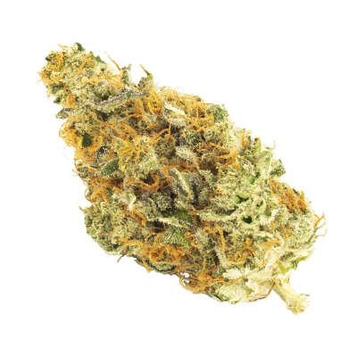 CBD Chemdog 4 Photo Fem-3921