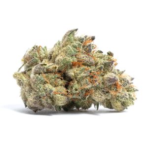 CBD Cookies Auto Fem-1732
