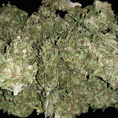 CBD Critical Auto Fem-3703