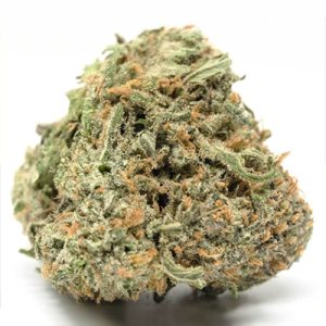 CBD Critical Mass Photo Fem-2936