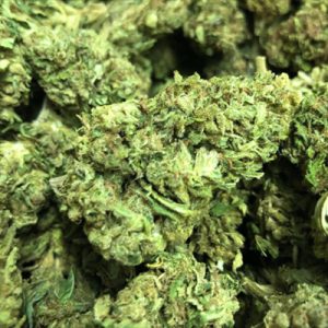 CBD Diesel Photo Fem-2947