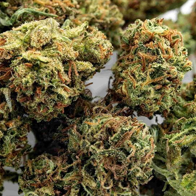 CBD Diesel Photo Fem-2949