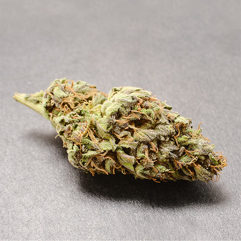 CBD Primate Glue Fast Photo Fem-0