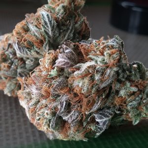 CBD Stephen Hawking Kush Photo Fem-1716