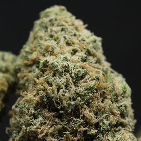 CBD Top Critical Mass Auto Fem-0