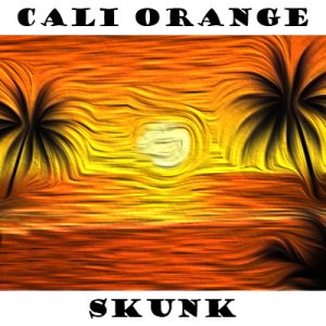 Cali Orange Skunk Photo Fem-4092
