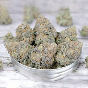 Candy Punch Photo Reg-4115