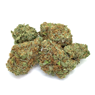 Candy Punch Photo Reg-4114