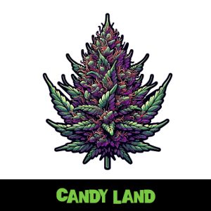 Candyland Photo Fem-1989