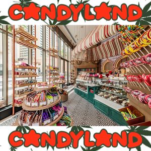 Candyland Photo Fem-1988
