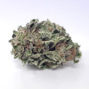 Candyland Photo Fem-1986