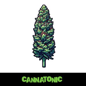 Cannatonic Photo Fem-2857