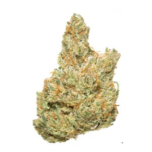 Carmen 2.0 Photo Fem-4096