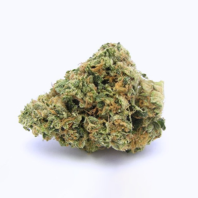 Carmen 2.0 Photo Fem-4097