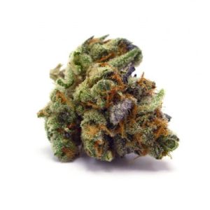 CBD Super Purple Auto Fem-1743