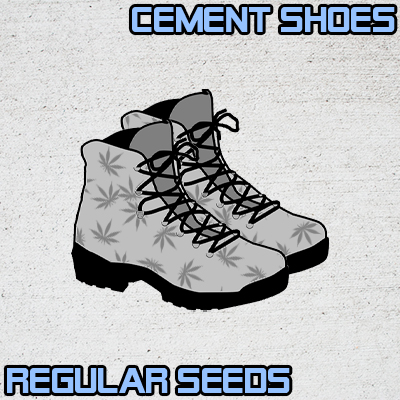 Cement Shoes Photo Reg-2603