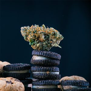 Cheese Cookies Photo Fem-2214