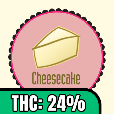 Cheesecake Auto Fem-1524