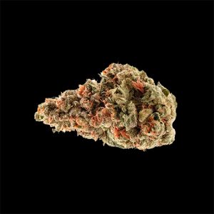 Chemdawg Photo Reg-2679