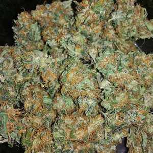 Chocolate Mint OG Photo Fem-2212