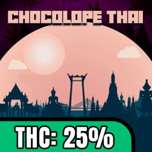 Chocolate Thai Auto Fem-4135