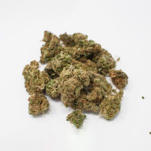 Chocolate Thai Photo Fem-0